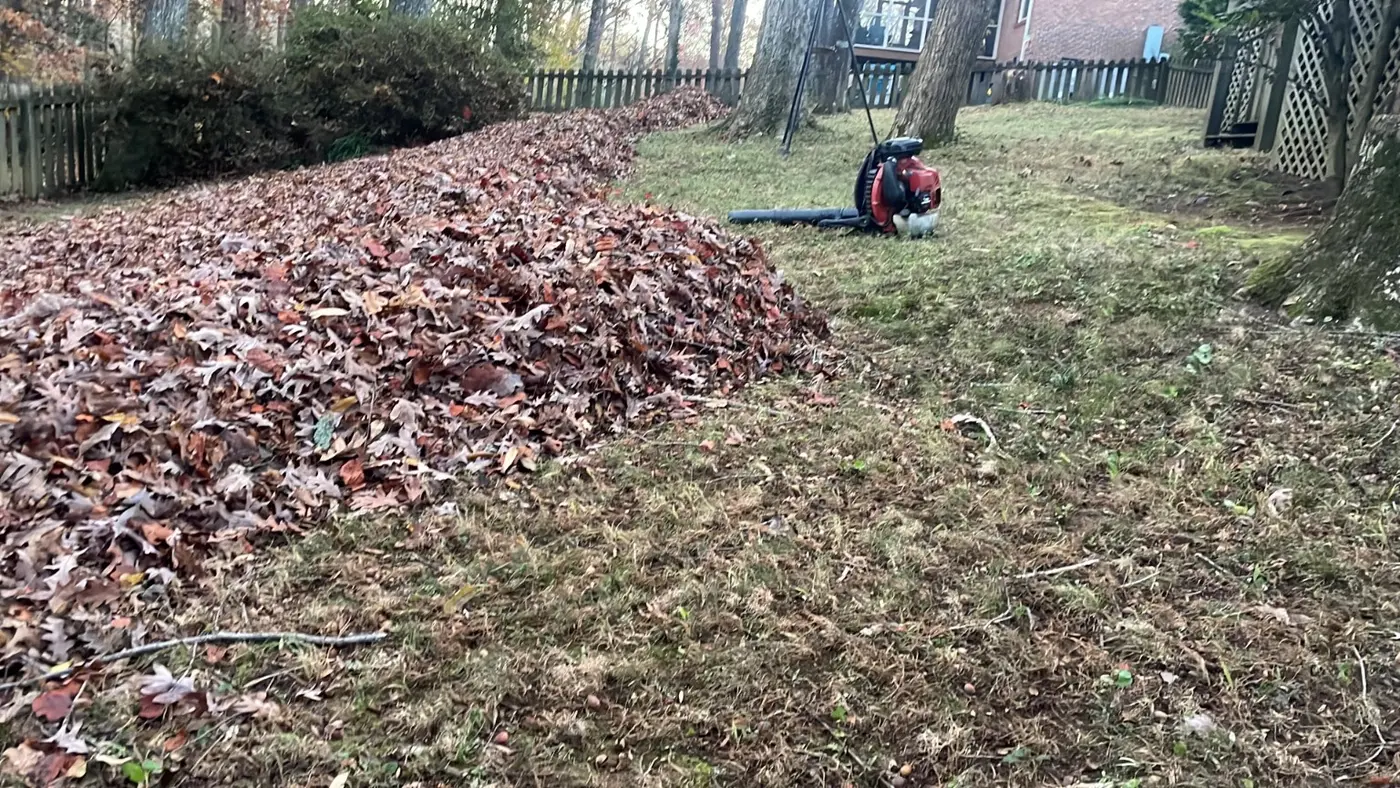 Leaf Removal & Yard Cleanups work by Manna Lawncare